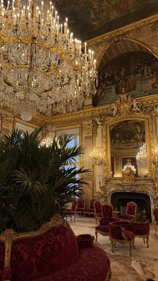 Paris, photographed by Katelyn.
